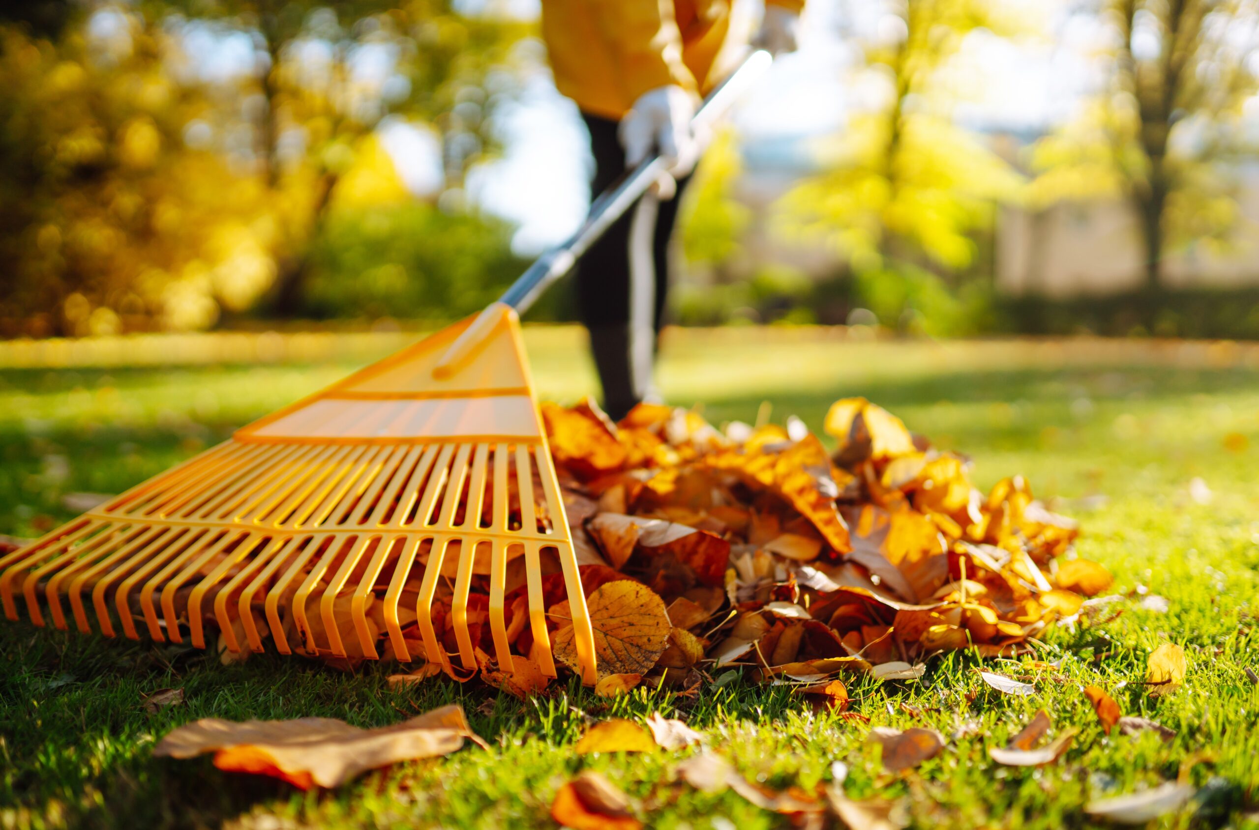 HOA Community Maintenance raking up fall leaves